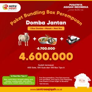 Paket 100 Box Domba Jantan - Gambar 1